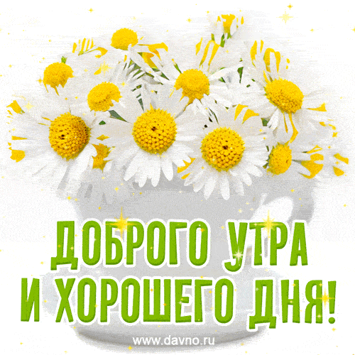 Открытка «С добрым утром»: Красивая открытка: Доброго утра и хорошего дня!. Тэги: пожелание, улыбка, утро, красивая…