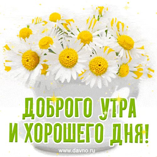 Открытка «С добрым утром»: Красивая открытка: Доброго утра и хорошего дня!. Тэги: пожелание, улыбка, утро, красивая…