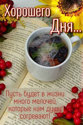 Открытка «Добрый день»: Хорошего Дня: уютное пожелание с позитивом. Тэги: проза, Добрый день и добрые пожелания…