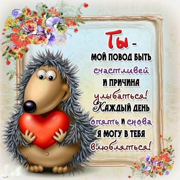 Открытка «Животное»: Открытка любимому: ты – мое счастье и улыбка. Тэги: пожелание, улыбка, красивая, позитив, радость…