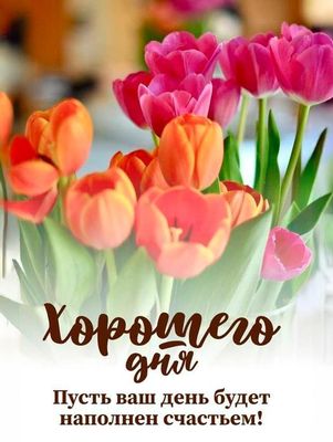 Открытка «Пожелание»: Яркие тюльпаны: пожелание хорошего дня и счастья. Тэги: улыбка, утро, красивая, позитив, радость…