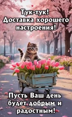 Открытка «Кот»: Милый кот доставляет хорошее настроение и добрый день!. Тэги: пожелание, прикольная, улыбка, красивая…