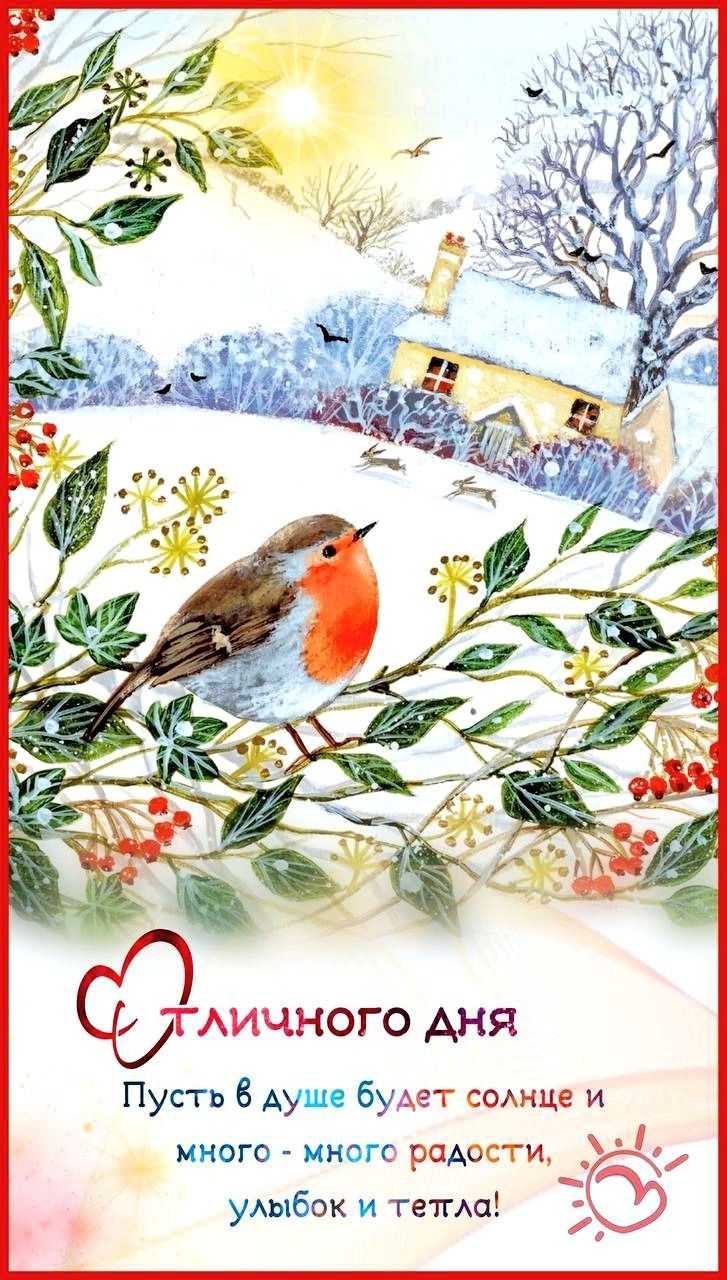 Открытка «Животное»: Отличного дня! Позитив и тепло с милой птичкой зимой. Тэги: пожелание, улыбка, красивая, позитив…