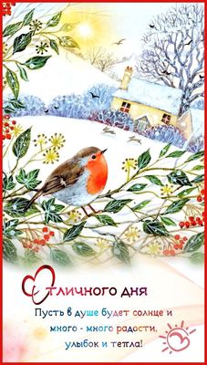 Открытка «Животное»: Отличного дня! Позитив и тепло с милой птичкой зимой. Тэги: пожелание, улыбка, красивая, позитив…