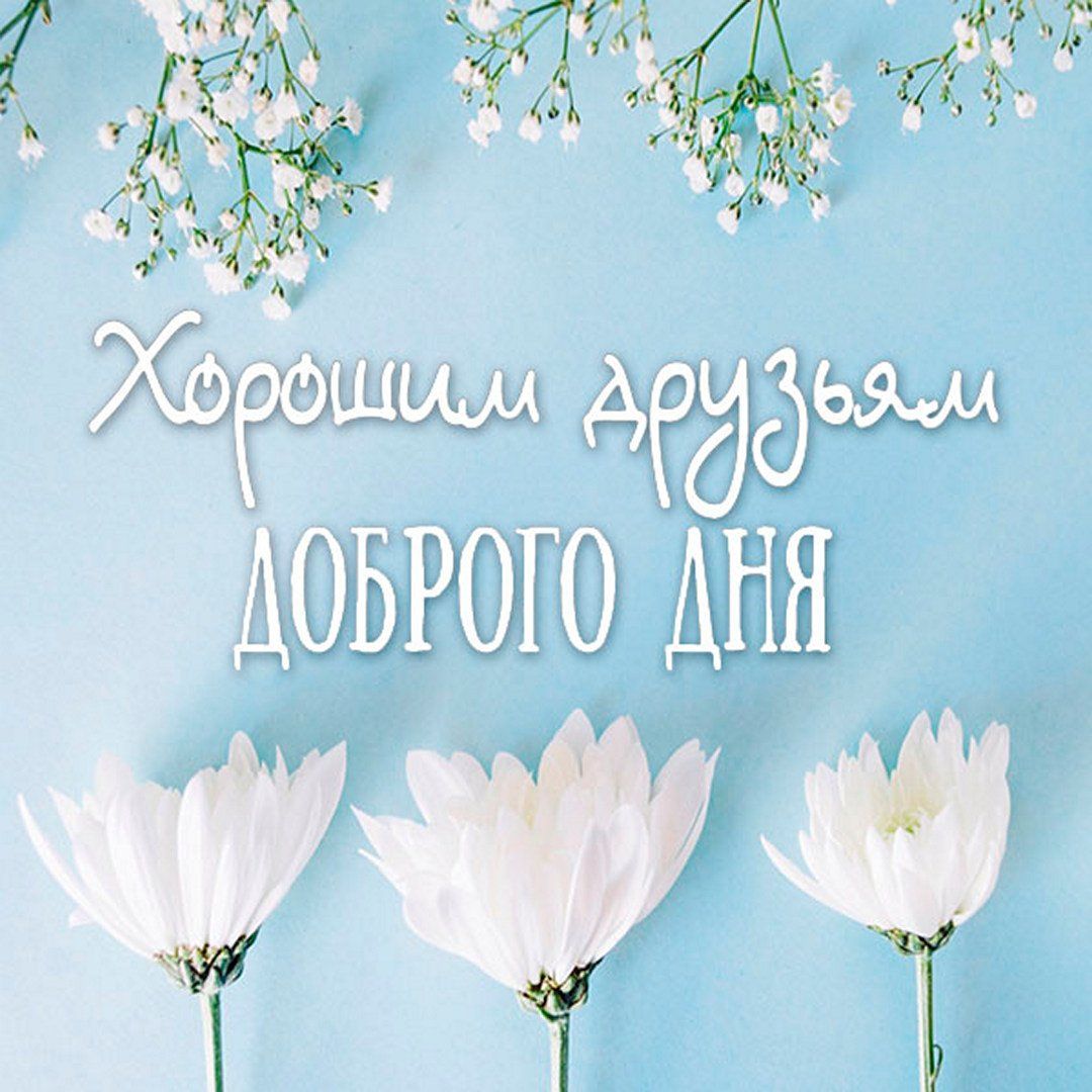 Открытка «Пожелание»: Нежная открытка: Доброго дня друзьям. Тэги: улыбка, друг, красивая, позитив, радость, добрый де…