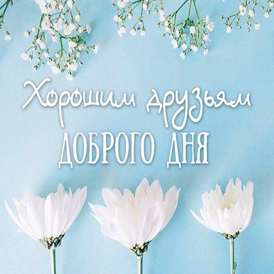 Открытка «Пожелание»: Нежная открытка: Доброго дня друзьям. Тэги: улыбка, друг, красивая, позитив, радость, добрый де…