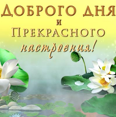 Открытка «Пожелание»: Доброго дня и настроения! Нежный цветок лотоса. Тэги: улыбка, красивая, позитив, радость…