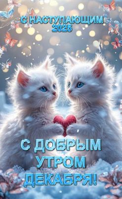 Открытка «С добрым утром»: С добрым утром декабря! Милые котята и Новый год. Тэги: кот, животное, пожелание, красивая…