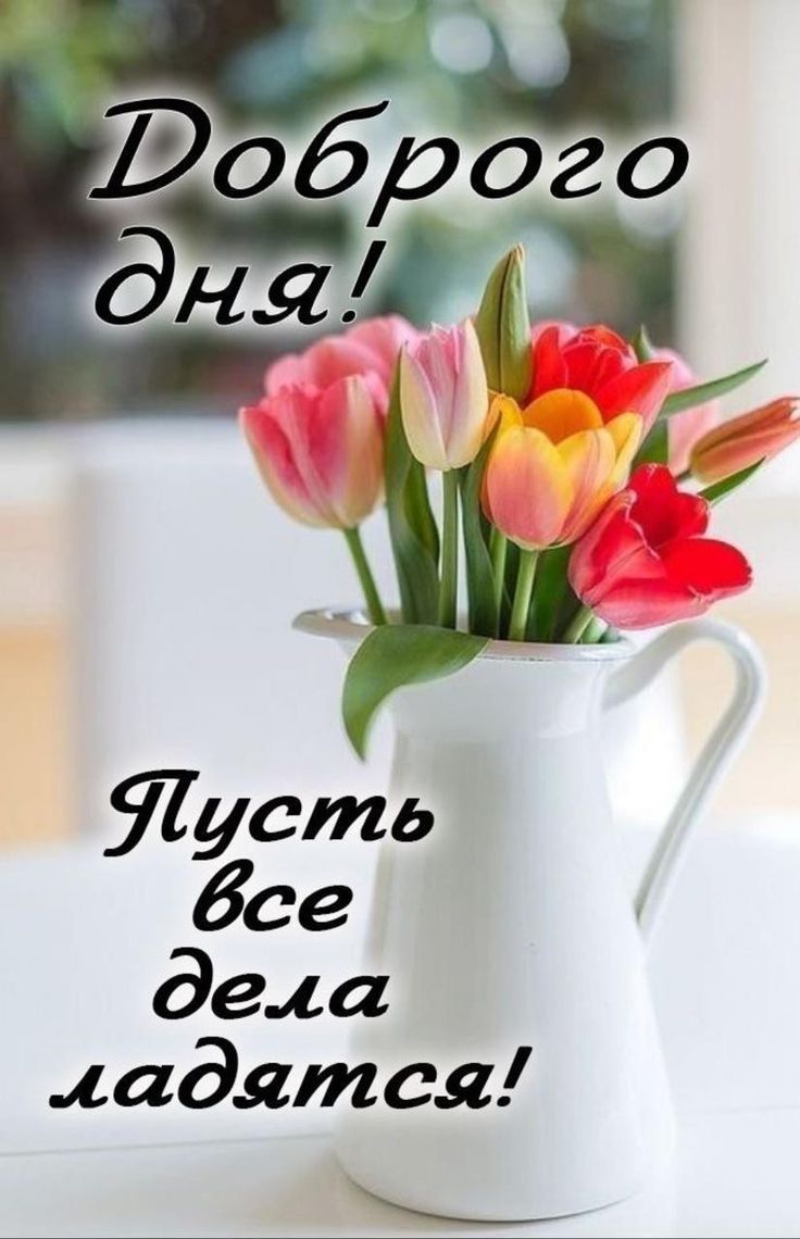 Открытка «Пожелание»: Доброго дня! Красивая открытка с тюльпанами. Тэги: улыбка, друг, подруга, красивая, позитив…