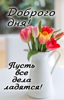 Открытка «Пожелание»: Доброго дня! Красивая открытка с тюльпанами. Тэги: улыбка, друг, подруга, красивая, позитив…