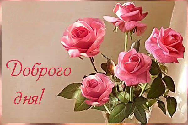 Открытка «Пожелание»: Красивый букет роз: пожелание доброго дня. Тэги: улыбка, подруга, женщина, красивая, позитив…