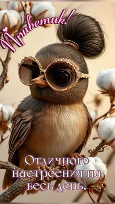 Открытка «Животное»: Приветик! Отличное настроение на весь день. Тэги: пожелание, прикольная, красивая, позитив…