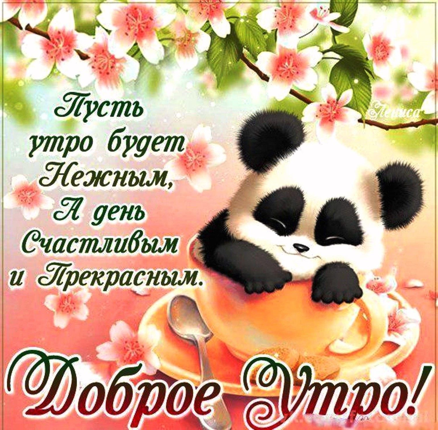 Открытка «Животное»: Милая открытка «Доброе утро» с пандой и пожеланием. Тэги: пожелание, утро, красивая, позитив…