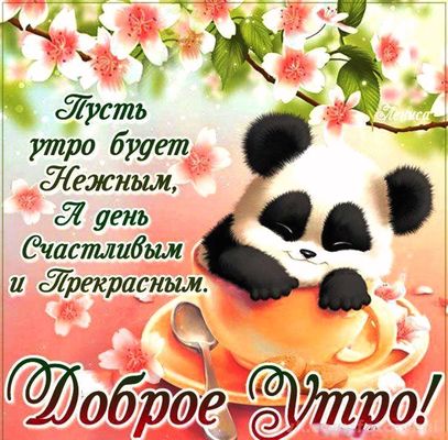 Открытка «Животное»: Милая открытка «Доброе утро» с пандой и пожеланием. Тэги: пожелание, утро, красивая, позитив…
