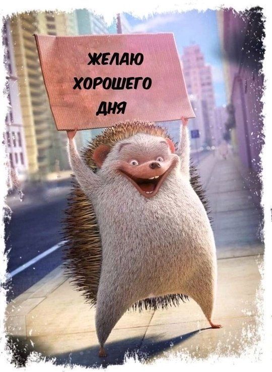 Открытка «Животное»: Прикольный ежик желает хорошего дня: позитив и улыбка. Тэги: пожелание, юмор, прикольная, смешная…