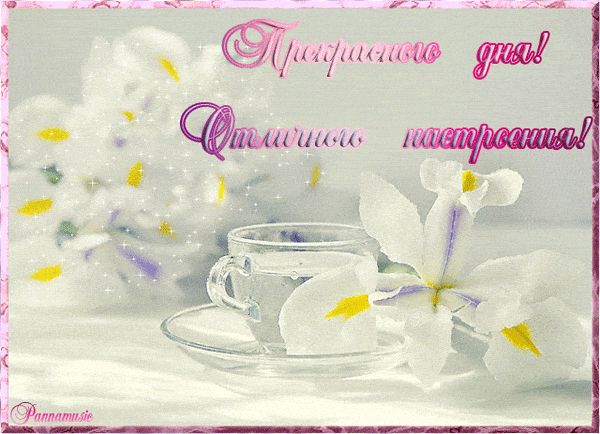 Открытка «Пожелание»: Прекрасного дня и отличного настроения!. Тэги: улыбка, подруга, женщина, красивая, позитив…