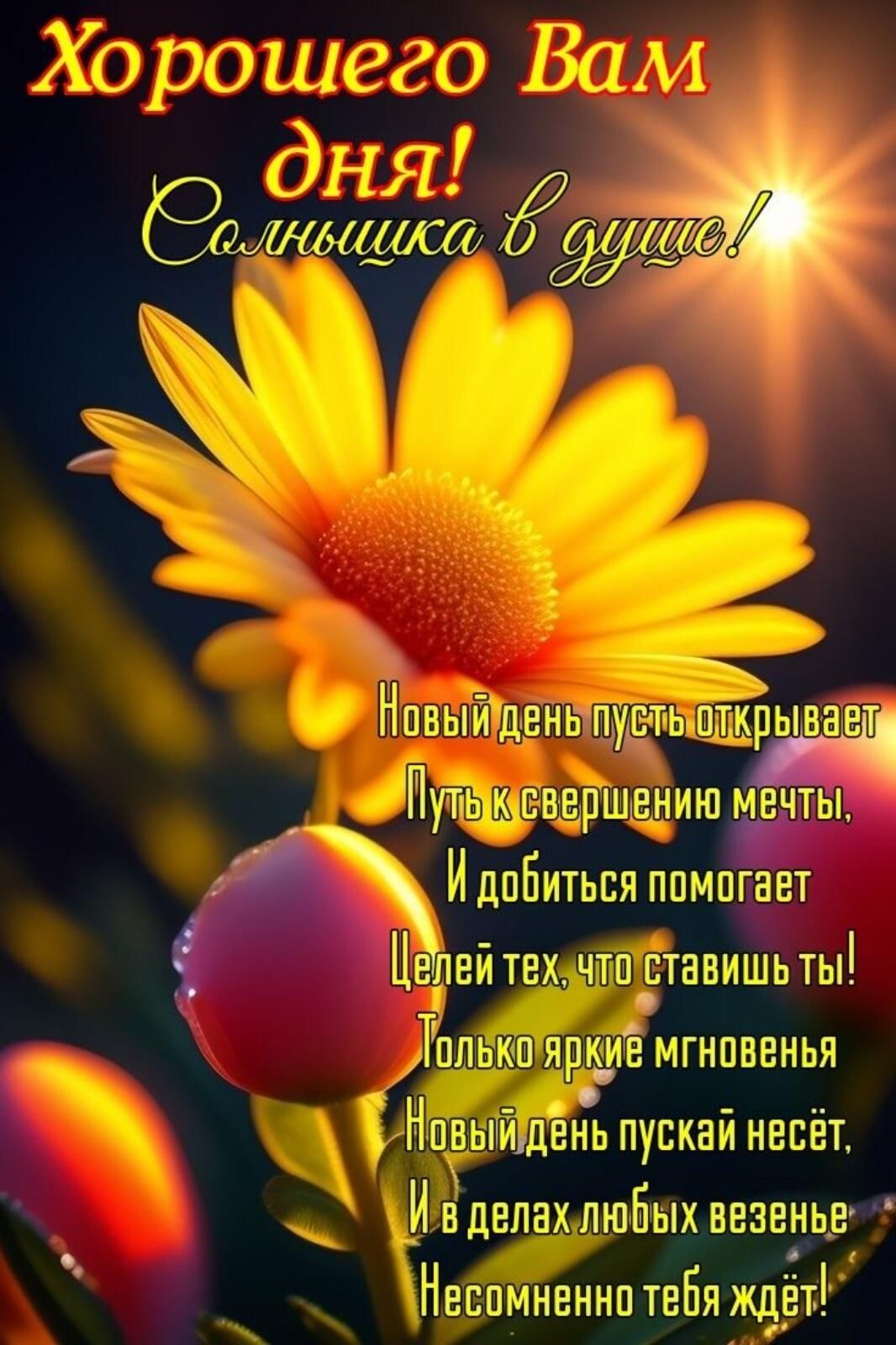Открытка «Пожелание»: «Хорошего дня!» Яркий цветок, солнце и позитив. Тэги: улыбка, позитив, радость, добрый день…