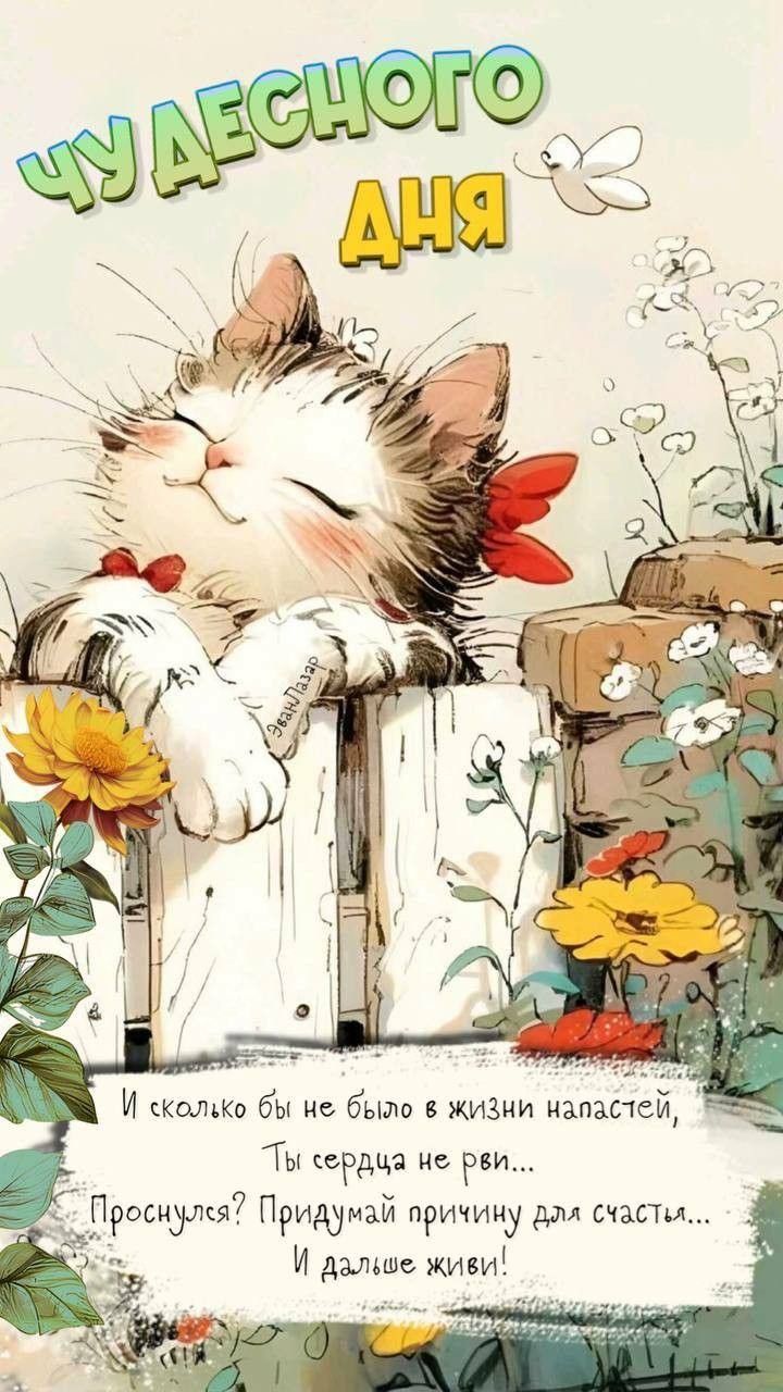 Открытка «Кот»: Чудесного дня: кот, счастье и позитив!. Тэги: пожелание, улыбка, красивая, позитив, радость, добрый д…