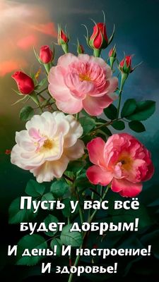 Открытка «Пожелание»: Букет роз с пожеланием доброго дня, настроения, здоровья. Тэги: красивая, позитив, радость…