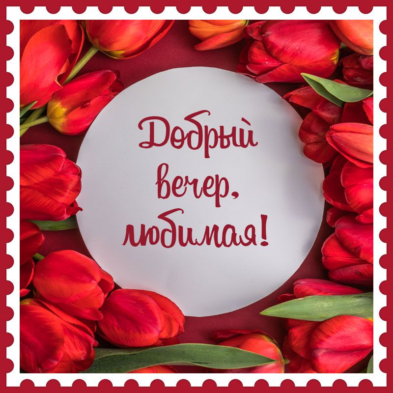 Открытка «Пожелание»: Добрый вечер, любимая! Красивые тюльпаны. Тэги: женщина, красивая, радость, цветок, настроение…