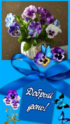 Открытка «Пожелание»: «Добрый день» – яркая открытка с цветами и бабочками. Тэги: красивая, позитив, радость, добрый…