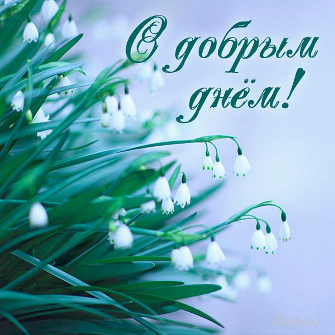 Открытка «Пожелание»: С добрым днём! Нежная открытка для хорошего настроения. Тэги: улыбка, красивая, позитив, радость…