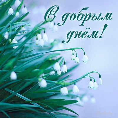 Открытка «Пожелание»: С добрым днём! Нежная открытка для хорошего настроения. Тэги: улыбка, красивая, позитив, радость…