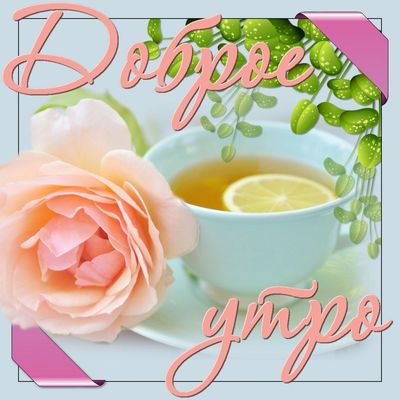 Открытка «С добрым утром»: Доброе утро: нежная роза и чай с лимоном. Тэги: пожелание, утро, красивая, позитив, радость…