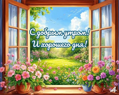 Открытка «С добрым утром»: Красивая открытка «С добрым утром!» и хорошим днем. Тэги: пожелание, улыбка, красивая…