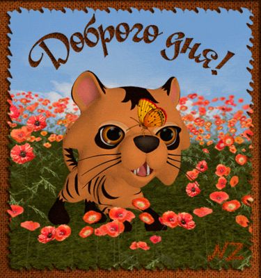 Открытка «Кот»: Доброго дня! Яркая открытка с милым котиком и бабочкой. Тэги: животное, пожелание, прикольная, улыбка…