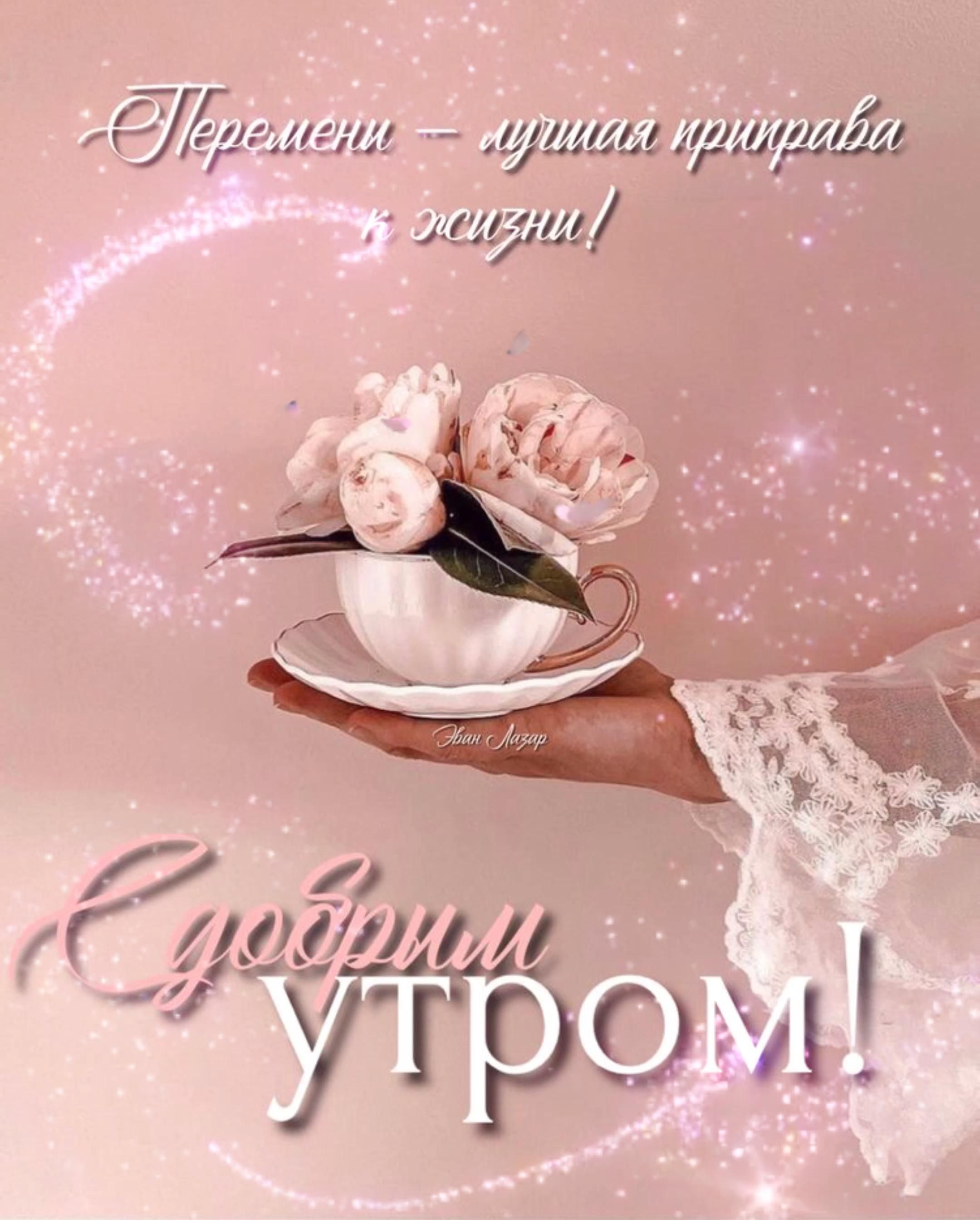 Открытка «Пожелание»: С добрым утром! Мудрость и нежность для жизни. Тэги: утро, женщина, красивая, позитив, радость…