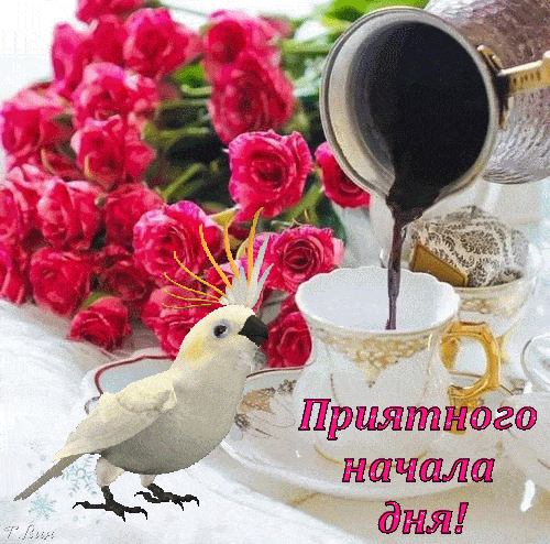 Открытка «Животное»: Доброе утро: кофе, розы и милая птица. Тэги: пожелание, улыбка, утро, красивая, кофе, позитив…