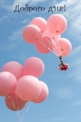 Открытка «Пожелание»: Доброго дня! Шары и цветы для настроения. Тэги: улыбка, красивая, позитив, радость, добрый день…