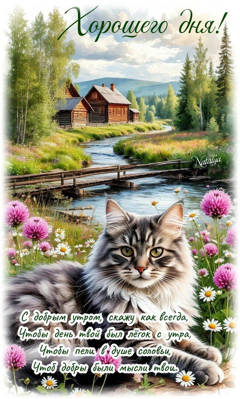 Открытка «С добрым утром»: Красивая открытка: Хорошего дня и доброго утра с котом. Тэги: кот, пожелание, утро, красив…