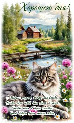 Открытка «С добрым утром»: Красивая открытка: Хорошего дня и доброго утра с котом. Тэги: кот, пожелание, утро, красив…