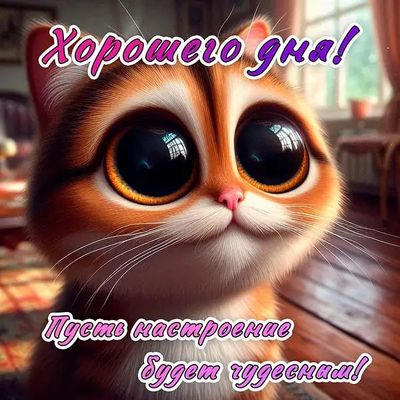 Открытка «Кот»: Хорошего дня! Милый кот для чудесного настроения. Тэги: животное, пожелание, юмор, прикольная, улыбка…
