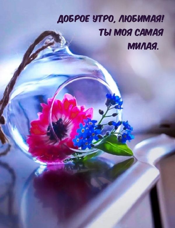 Открытка «Пожелание»: Доброе утро, любимая! Нежный цветок для милой.. Тэги: улыбка, утро, женщина, девушка, красивая…