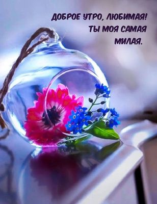 Открытка «Пожелание»: Доброе утро, любимая! Нежный цветок для милой.. Тэги: улыбка, утро, женщина, девушка, красивая…