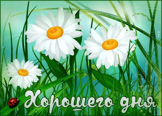 Открытка «Животное»: Хорошего дня! Открытка с ромашками и божьей коровкой. Тэги: пожелание, улыбка, красивая, позитив…