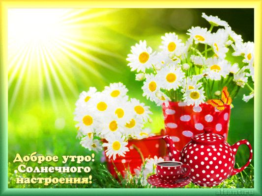 Открытка «С добрым утром»: С добрым утром! Солнечное настроение и ромашки. Тэги: С добрым утром, для поднятия настрое…