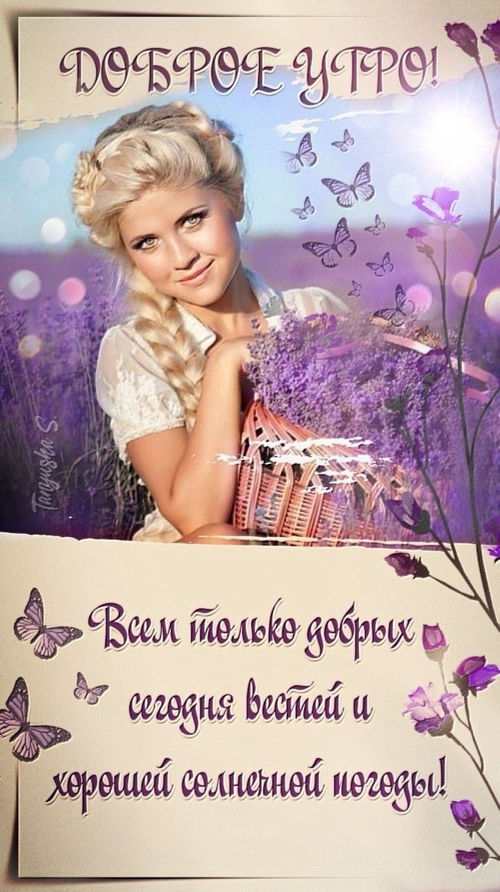 Открытка «С добрым утром»: Доброе утро! Красивая открытка с лавандовым полем. Тэги: пожелание, утро, женщина, девушка…