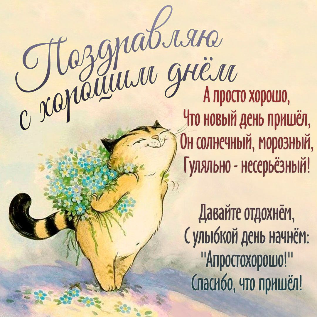 Открытка «Кот»: Поздравляю с хорошим днём! Милый кот и позитив. Тэги: животное, пожелание, прикольная, улыбка, утро…