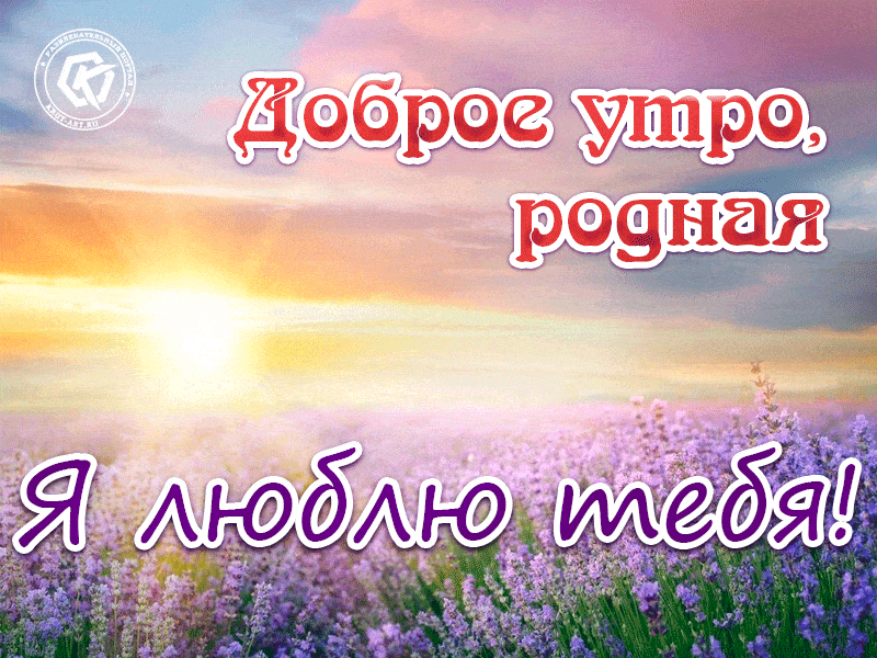 Открытка «С добрым утром»: Доброе утро, родная! Я люблю тебя!. Тэги: пожелание, утро, женщина, позитив, радость…