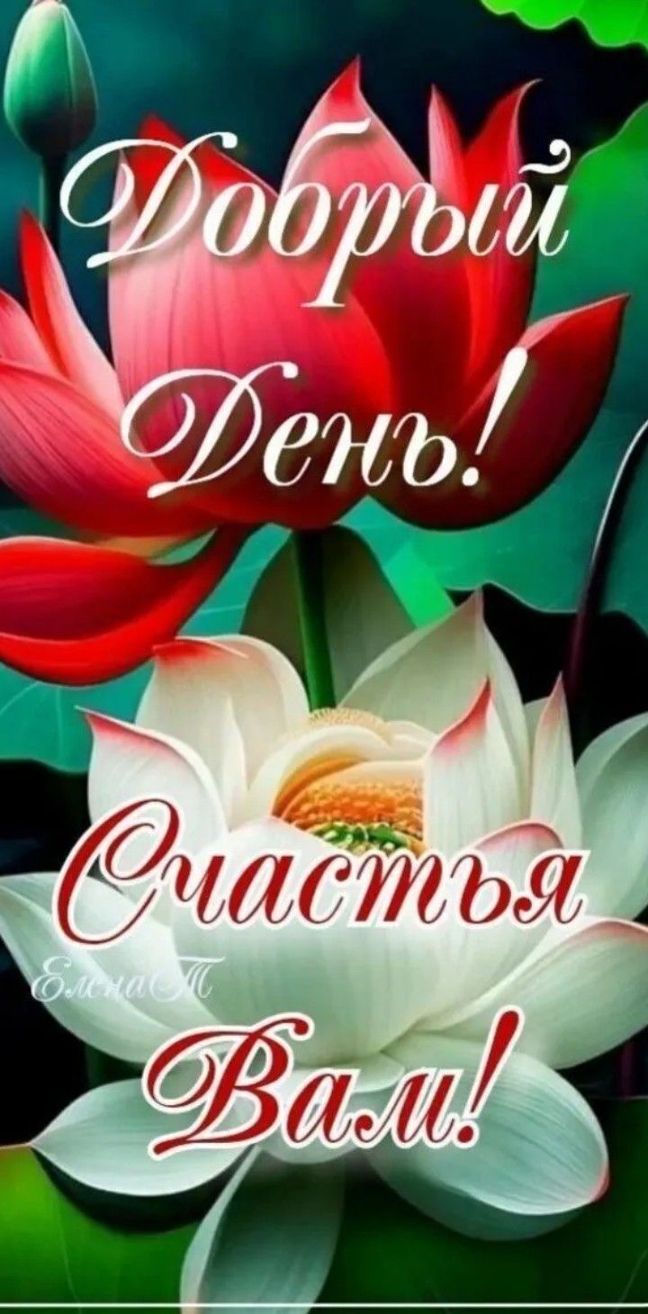Открытка «Пожелание»: «Добрый день!» и Счастья Вам! Красивый лотос. Тэги: улыбка, мужчина, женщина, красивая, позитив…