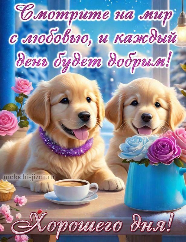 Открытка «Животное»: «Хорошего дня!»: любовь и милые щенки. Тэги: пожелание, улыбка, красивая, кофе, позитив, радость…