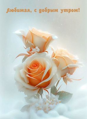 Открытка «Пожелание»: Любимая, с добрым утром! Нежные розы для тебя.. Тэги: утро, женщина, девушка, красивая, позитив…