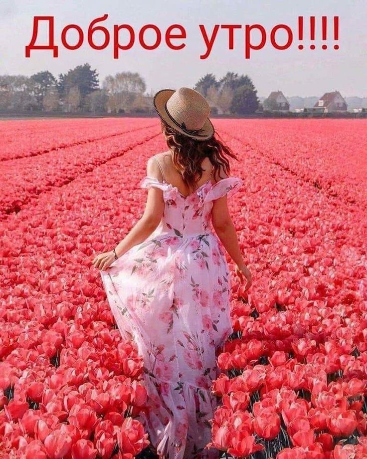 Открытка «С добрым утром»: Доброе утро! Красивая открытка с тюльпанами. Тэги: пожелание, утро, девушка, красивая…