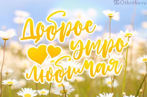 Открытка «С добрым утром»: Доброе утро, любимая! Открытка с любовью и счастьем. Тэги: пожелание, улыбка, утро, женщина…
