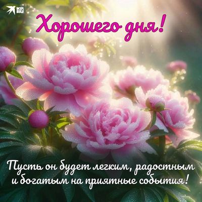 Открытка «Пожелание»: Хорошего дня! Нежные пионы для настроения. Тэги: улыбка, красивая, позитив, радость, добрый день…