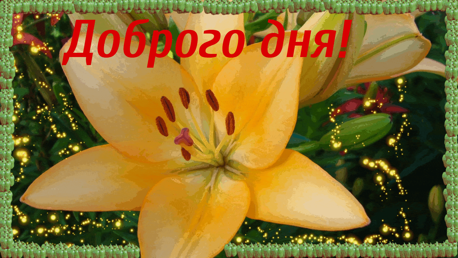 Открытка «Добрый день»: Доброго дня! Красивая открытка с нежным цветком. Тэги: Добрый день и добрые пожелания, Добрый…